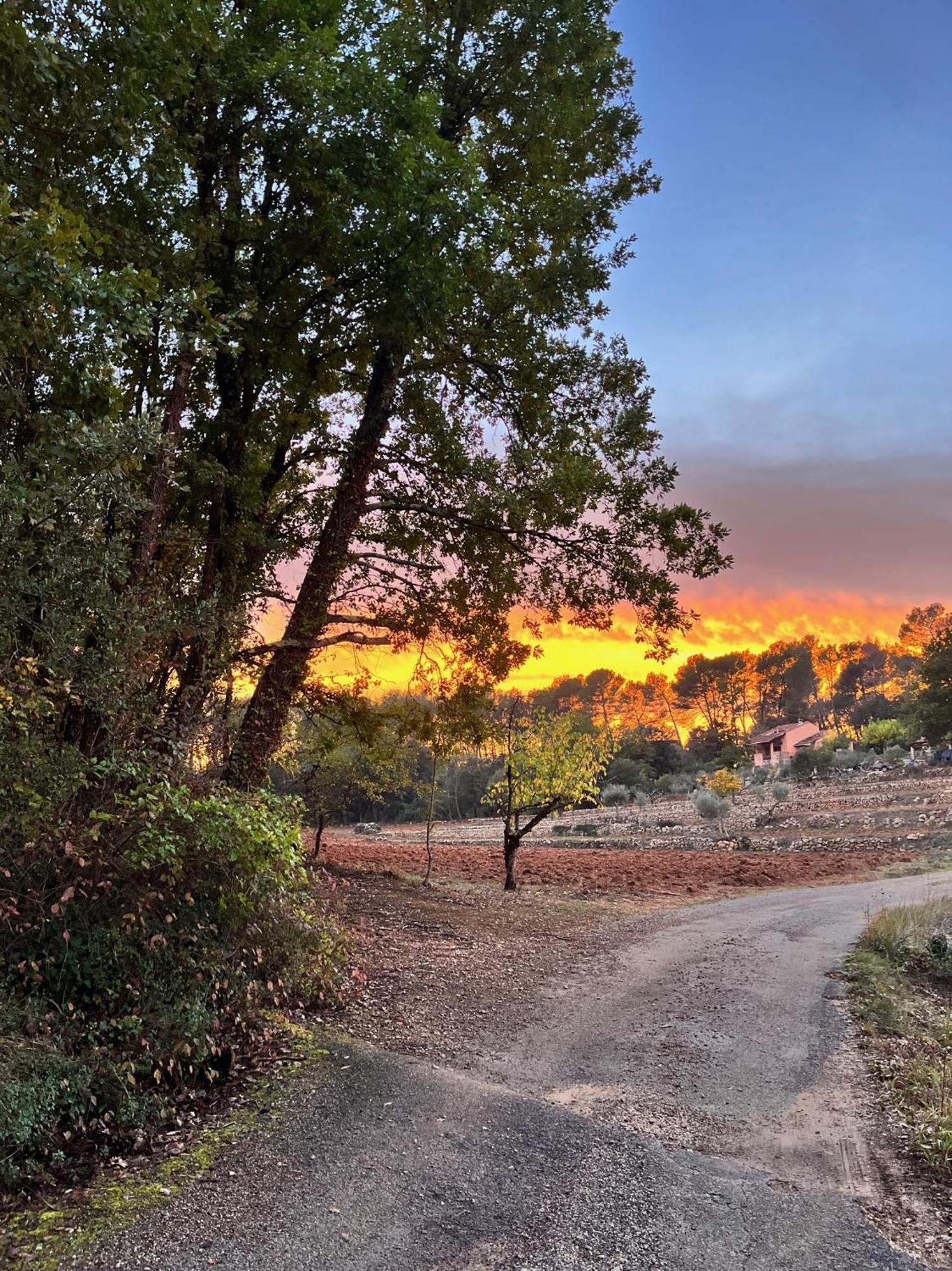 La Parenthese Du Var - Chambre D'Hotes Petits Dejeuners Inclus Et Terrasse Ombragee Saint-Antonin-du-Var Dış mekan fotoğraf