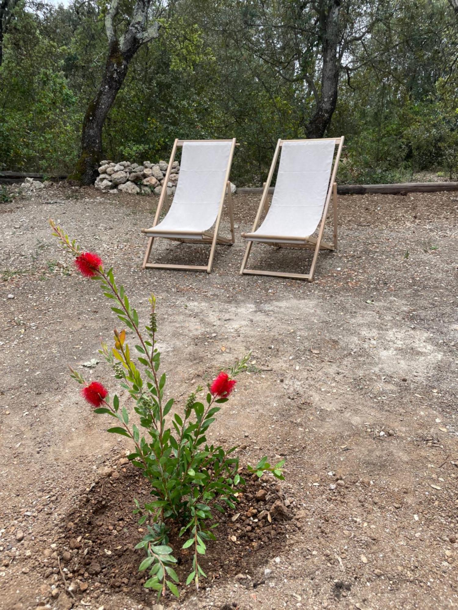 La Parenthese Du Var - Chambre D'Hotes Petits Dejeuners Inclus Et Terrasse Ombragee Saint-Antonin-du-Var Dış mekan fotoğraf